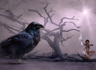 Do czego stosuje się stycznik?