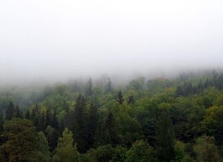 Jak zasłonić wejście na poddasze?