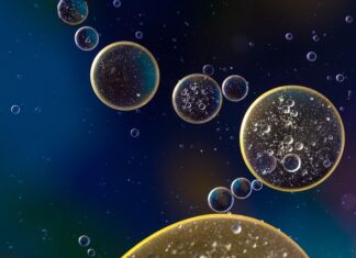 Ile kosztuje wymiana oleju w tylnym moście?