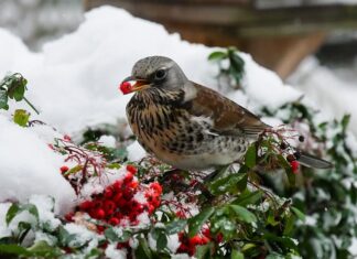 Po co jest przepustnica?