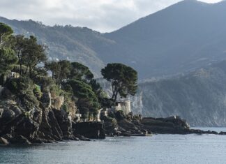 Ile kosztuje 80 litrów kory?