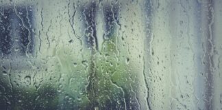 Gdzie kupić korek do umywalki?