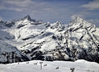 Czy do quada można wlać olej samochodowy?