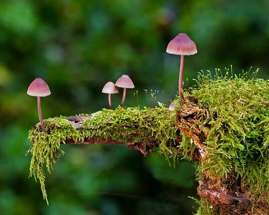 Czy na myjni bezdotykowej można użyć gąbki?