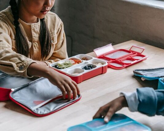 lunchbox